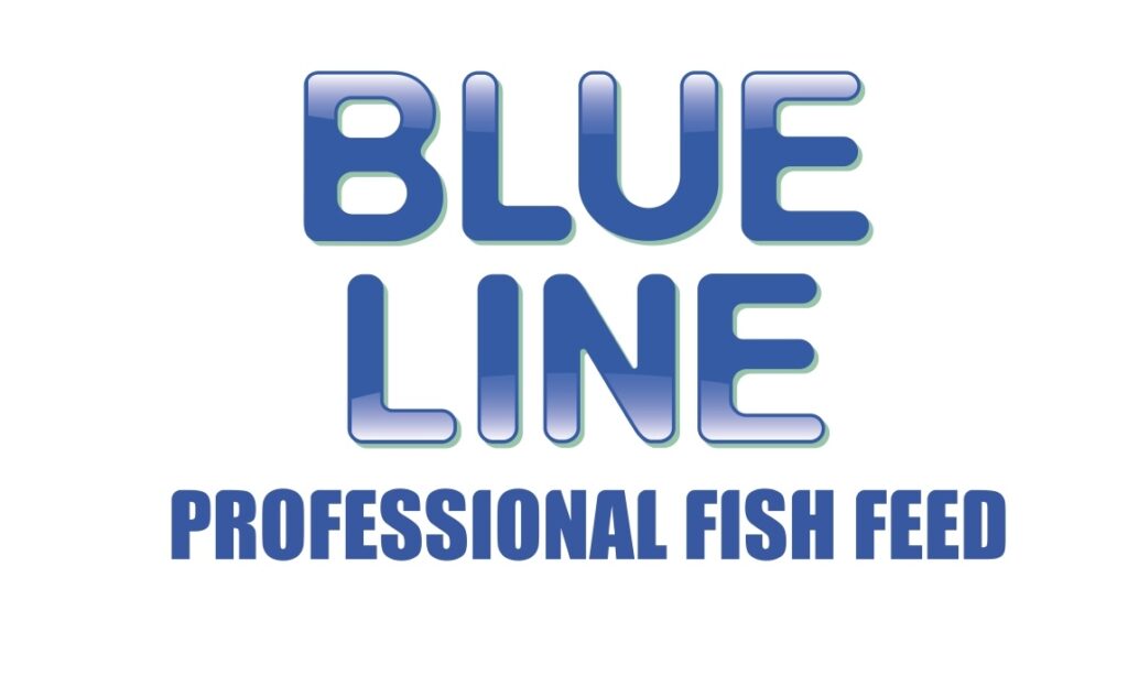 logo blue line_vettoriale_page-0001