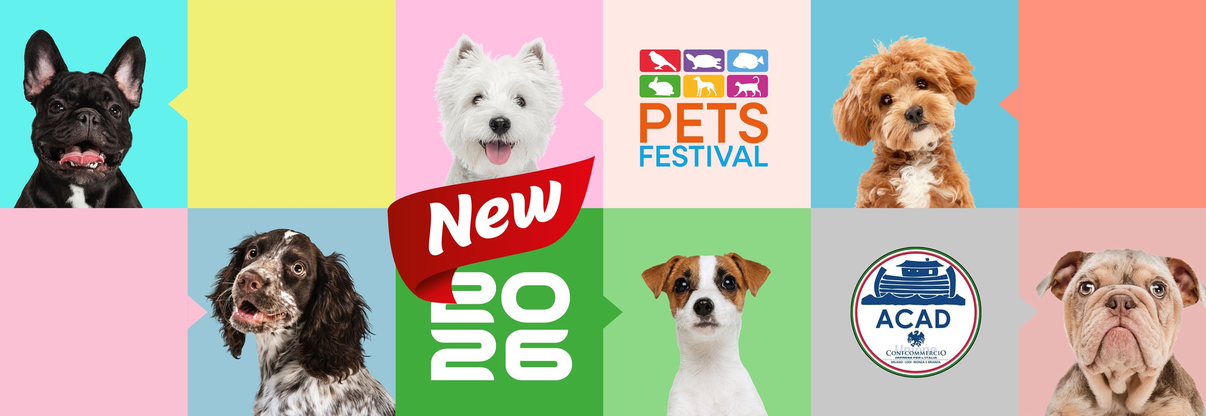 petsfestival-toelettatura